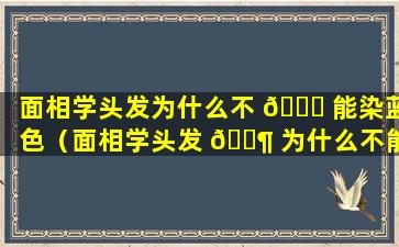 面相学头发为什么不 🐋 能染蓝色（面相学头发 🐶 为什么不能染蓝色呢）